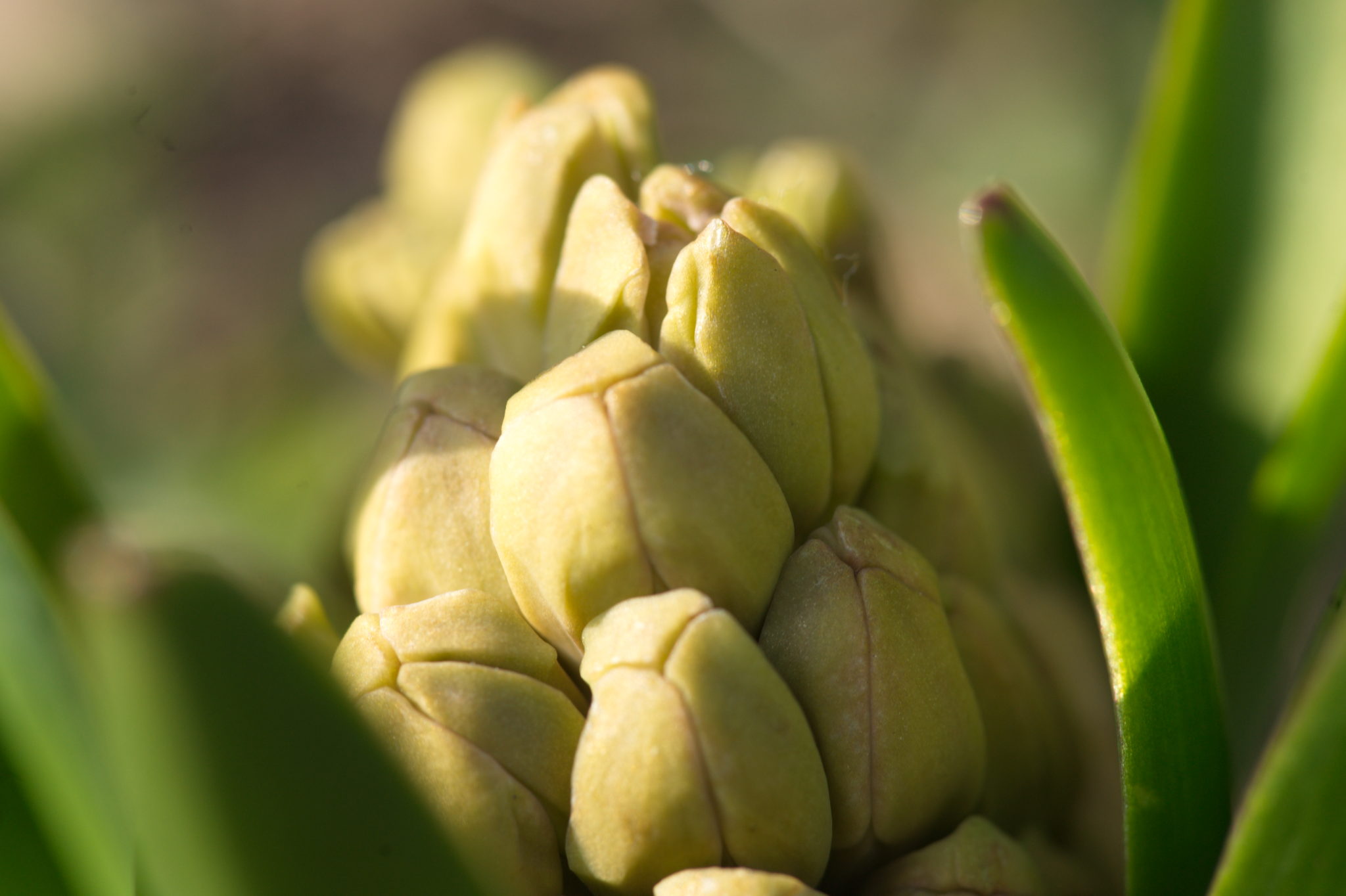 20210324  Gruen(t)raumHeimfeld 009